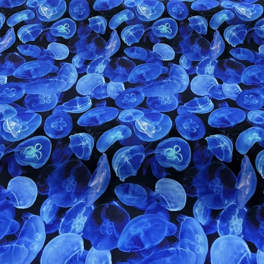 Кулирка с ярко-синими медузами на черном фоне 436804 Турция 890 рублей за метр